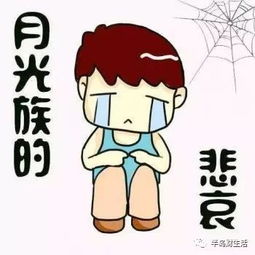  全新1年期政信项目即将上线额度极少赶紧电话预约