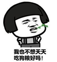  作为广大单身狗,我也不想天天吃狗粮好吗抖音表情包