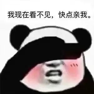  我现在看不见,快点亲我