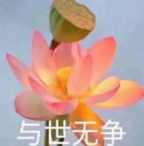 我佛慈悲图片表情包慈悲