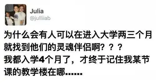  这也太惨了
