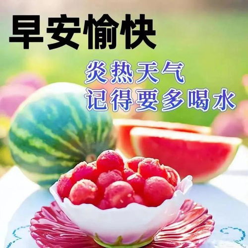 早早上好表情包表情包