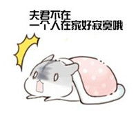  hamham仓鼠表情包老公老婆全套仓鼠情侣专用表情包最新