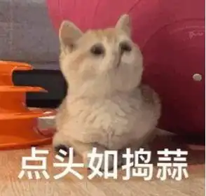  宁夏将投放一批小型汽车号牌新号段具体时间看这里