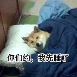  单身狗吃狗粮表情包