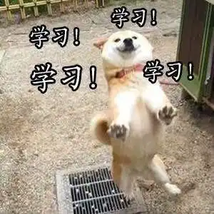  教育学里面的之父你知道多少