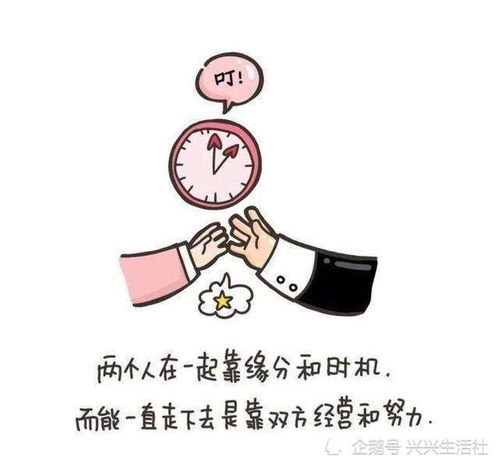  985相亲局相亲人群的期待与高端相亲局背后的逻辑