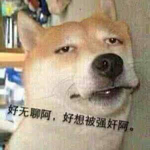  太搞了超多超级霸气可爱炫酷的狗狗表情包等你拿
