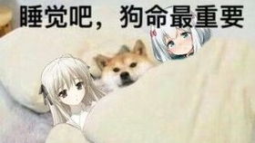  论一个禁术大师的灵活性