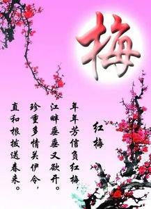  年底了,99只喜鹊来报到祝大家2019年喜上眉梢,喜事到家