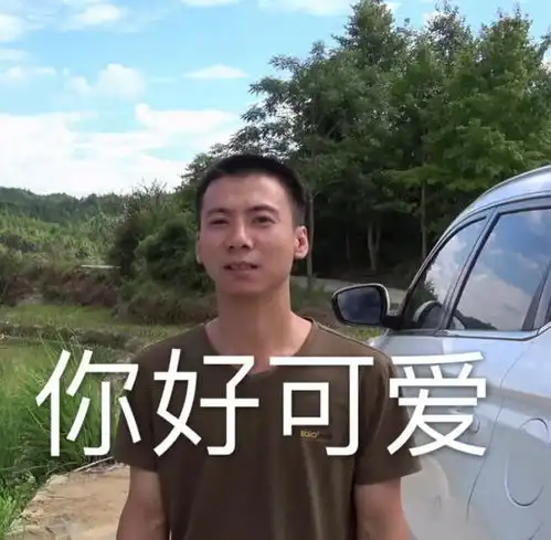  华农兄弟表情包吃竹鼠的一百种理由