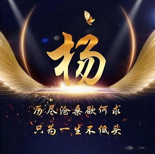  百家姓,姓氏头像之杨