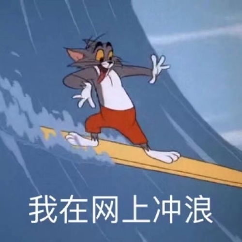  今日表情包我在网上冲浪