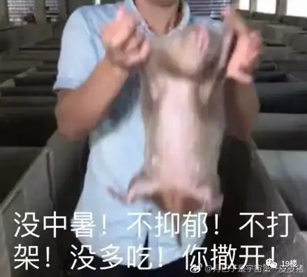  吃竹鼠的华农兄弟火了网友我不漂亮别吃我