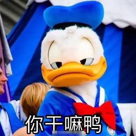 鸭表情包原版幸运