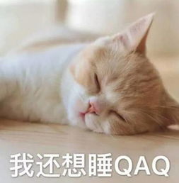 男朋友对你忽冷忽热,用这几个表情包教育他你这臭猪可真烦人