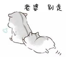  哄老婆专用仓鼠表情包合集老婆大人对不起
