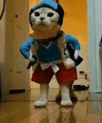  来来来你还看得懂表情包吗