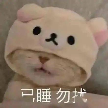  套路聊天表情包