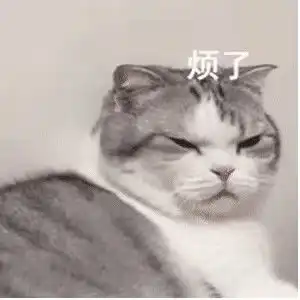  表情包谁不喜欢可爱的猫咪呢