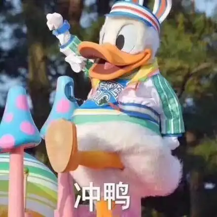 鸭表情包原版向前冲