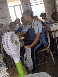  不明白那么多人养鳄龟当宠物,当我看到这龟甲哈哈哈艺术品啊