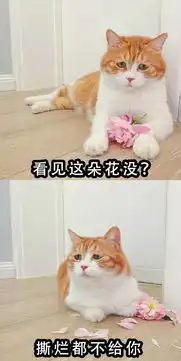  我只是没有勇气找你