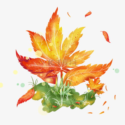  秋天梦幻枫叶草丛素材图片免费下载千库网
