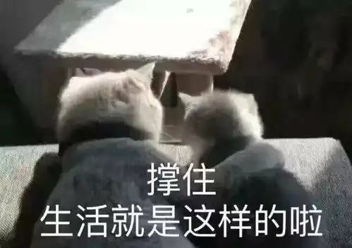  你有哪些骚到爆的表情包,斗图能把对面笑死的那种