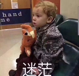  看完这些成语翻译被吓尿了原来老外是这么想我们的哈尔滨学为贵