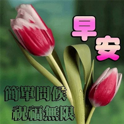 早早上好表情包问候