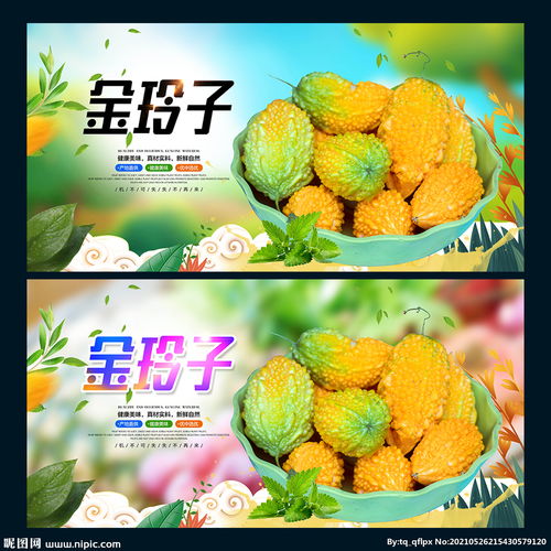 金玲子图片