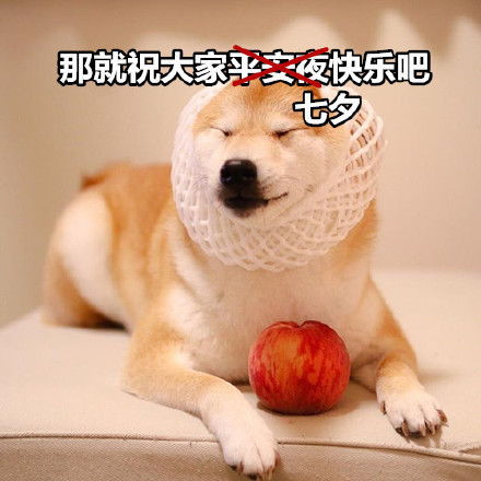  来一组七夕特供表情包,狗子们快拿走