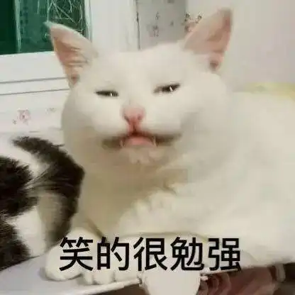  第69期喵表情你要实在闲,就给我来当两天qq宠物