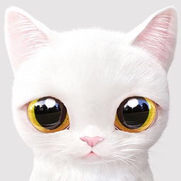 情侣头像小猫一左一右
