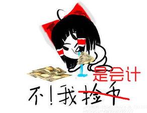  会计人捡到100块钱,列了个分录,然后