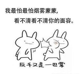  高校制作禁烟表情包吸烟找不到对象表情包真能有效禁烟