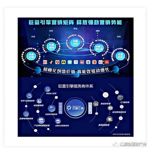  2021互联网项目数据调研报告抖音篇