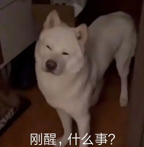  表情包第一期沙雕修勾表情包