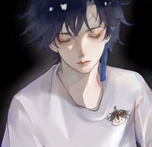  动漫男头少年自有玫瑰与星光