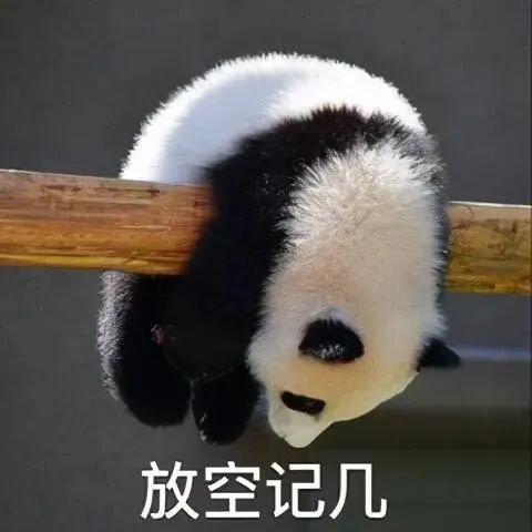  抖音热门表情包丨去干饭表情包大全