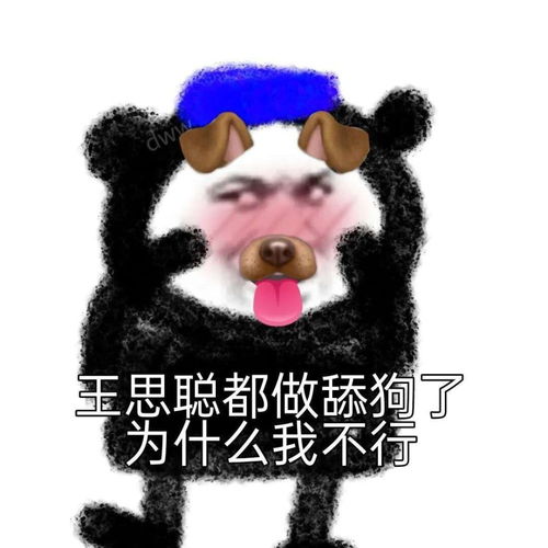  王思聪同款表情包