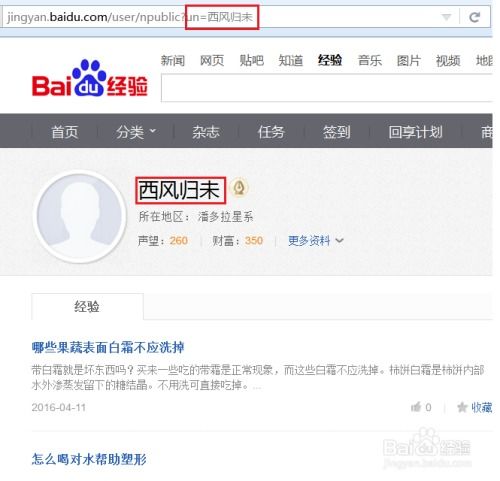  百度经验如何搜索关注他人