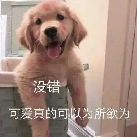  急明天上班的铲屎官速看