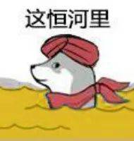  表情包谁会嫌多啊还是这么沙雕的