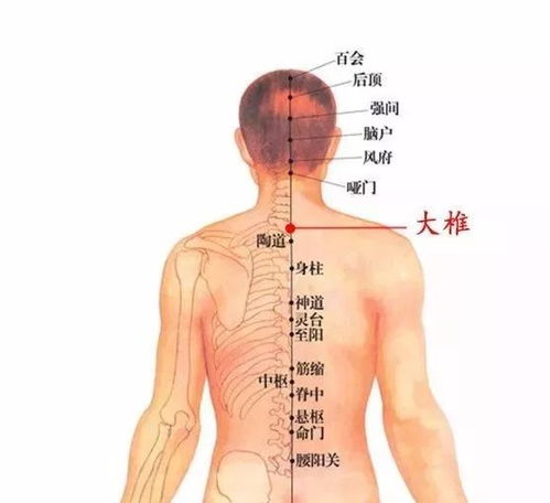  艾灸的本质,就是激发人体自带的自愈力