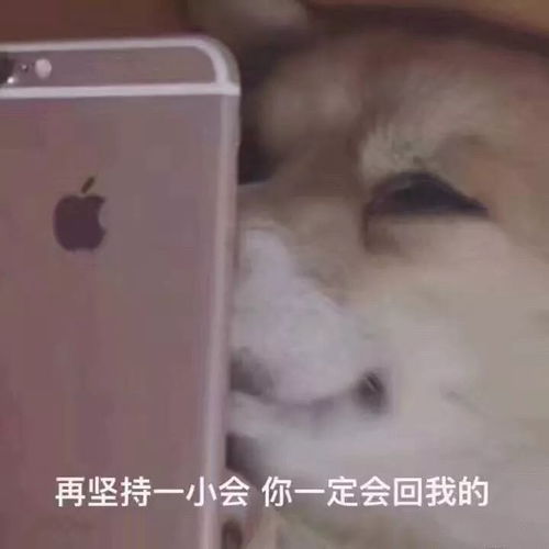  不回我们消息的人到底在干嘛