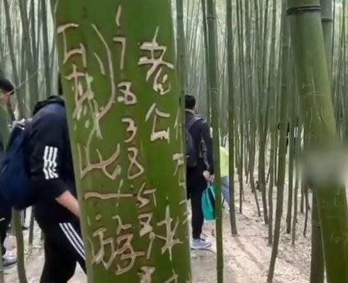  端午节外出旅游,有哪些风水讲究
