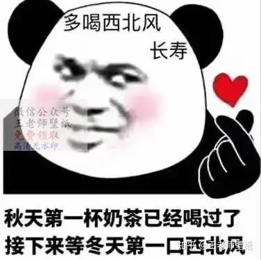  熬夜胸会变小早点睡老子爱你图片表情包