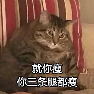 性暗示表情包胖胖